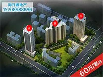 海口海升源房地产营销策划 专业房产咨询与商务信息咨询的领航者